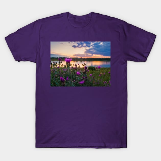 wild steppe violets T-Shirt by psychoshadow